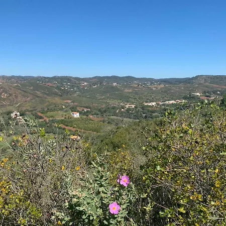 Сasa de vacaciones Hill House
