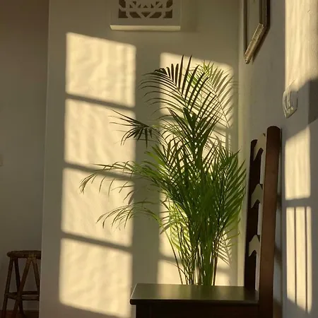 Hill House